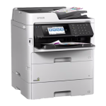 Imagen anterior del producto