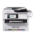 Imagen anterior del producto